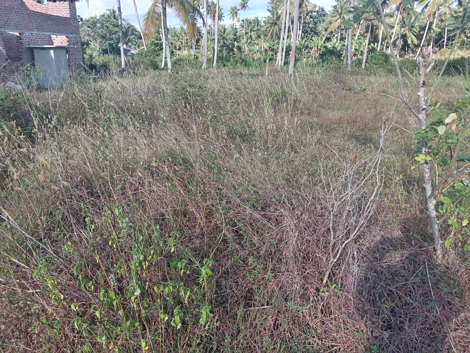 Flat Land Ideal for Build a House Kadahapola