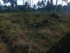 Flat Land Ideal for Build a House Kadahapola