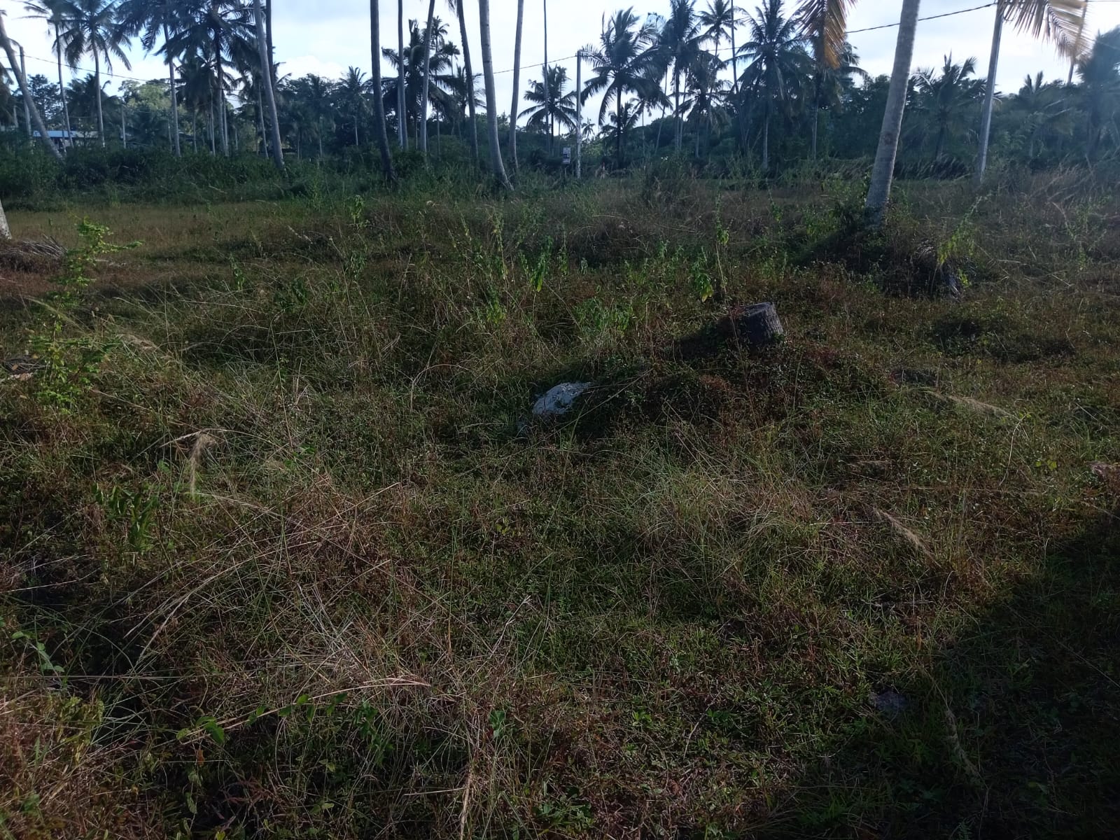 Flat Land Ideal for Build a House Kadahapola