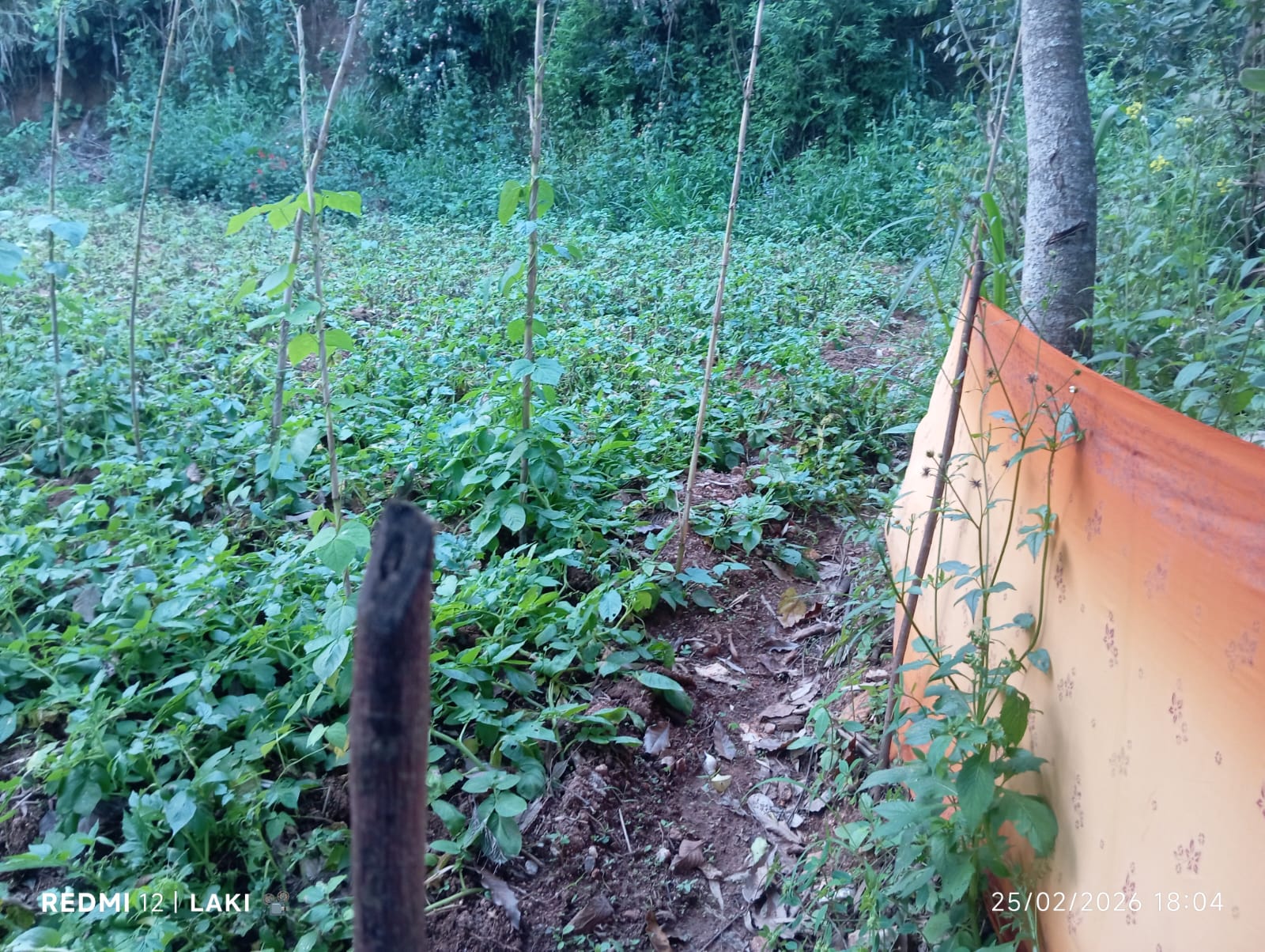 Land for Sale Nugathalawa