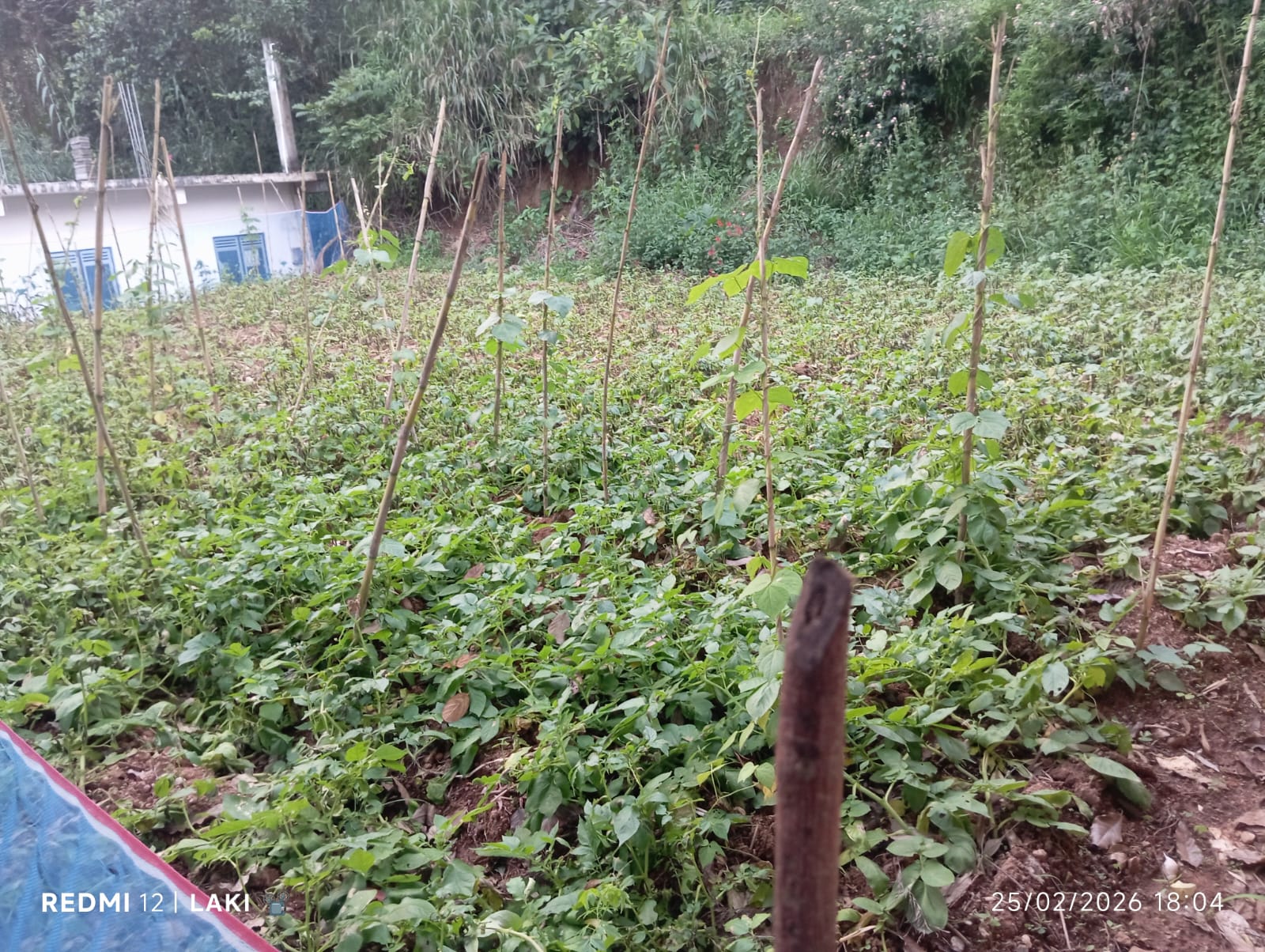 Land for Sale Nugathalawa