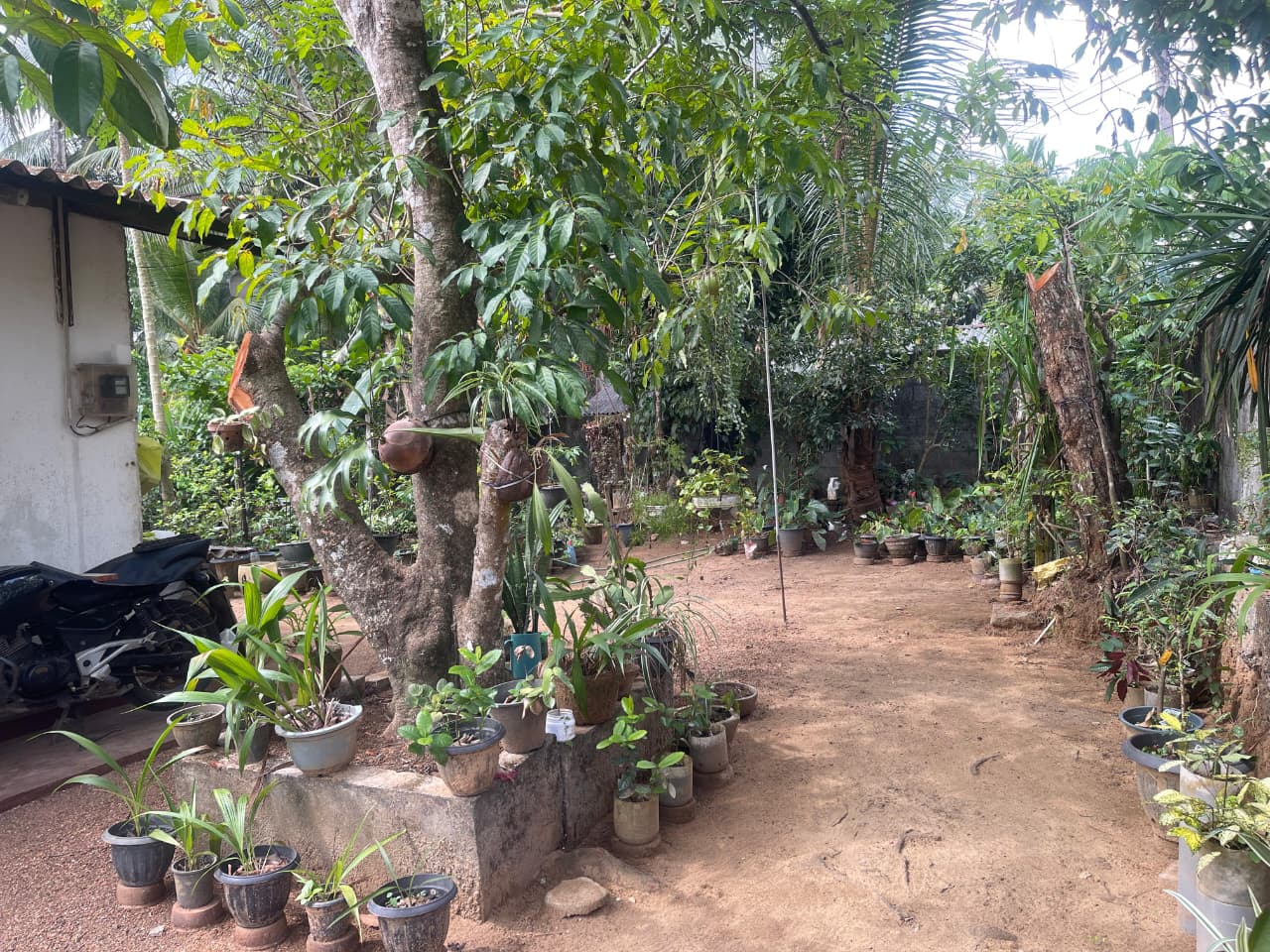 House For Sale In Meegoda