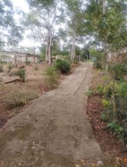 WhatsApp-Image-2026-02-03-at-12.24.31