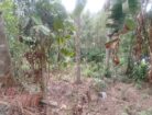 Land for Sale – Bandarawela