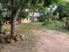 Land for sale Campus Road Rattanapitiya Boralesgamuwa