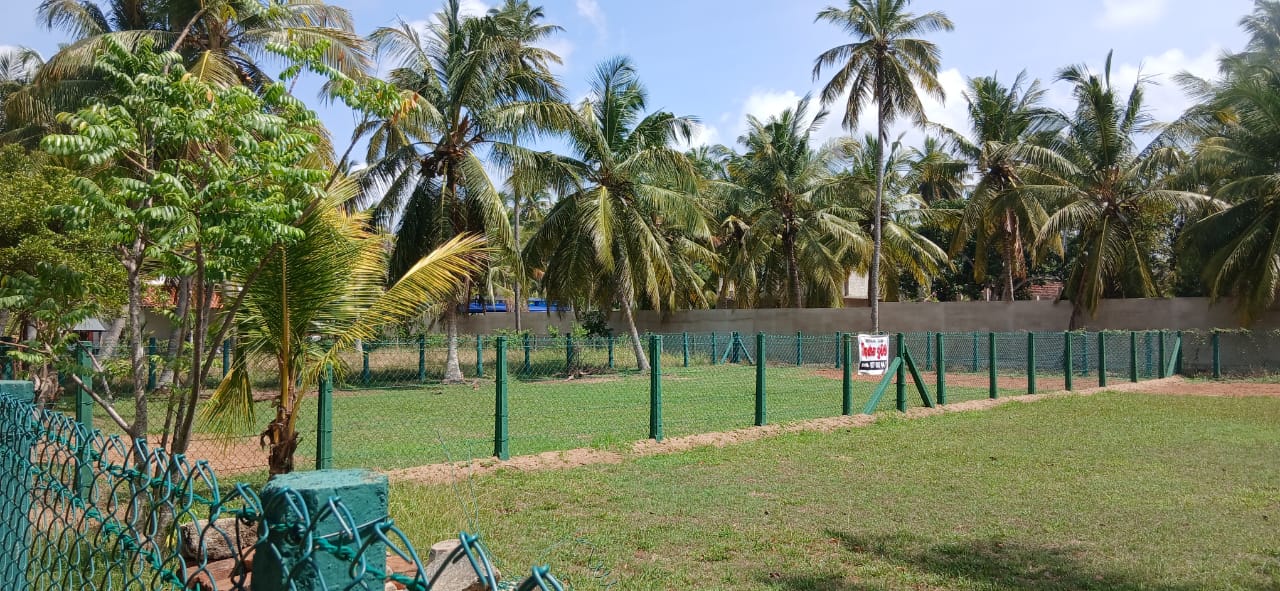 Land for Sale in Near Chilaw Town