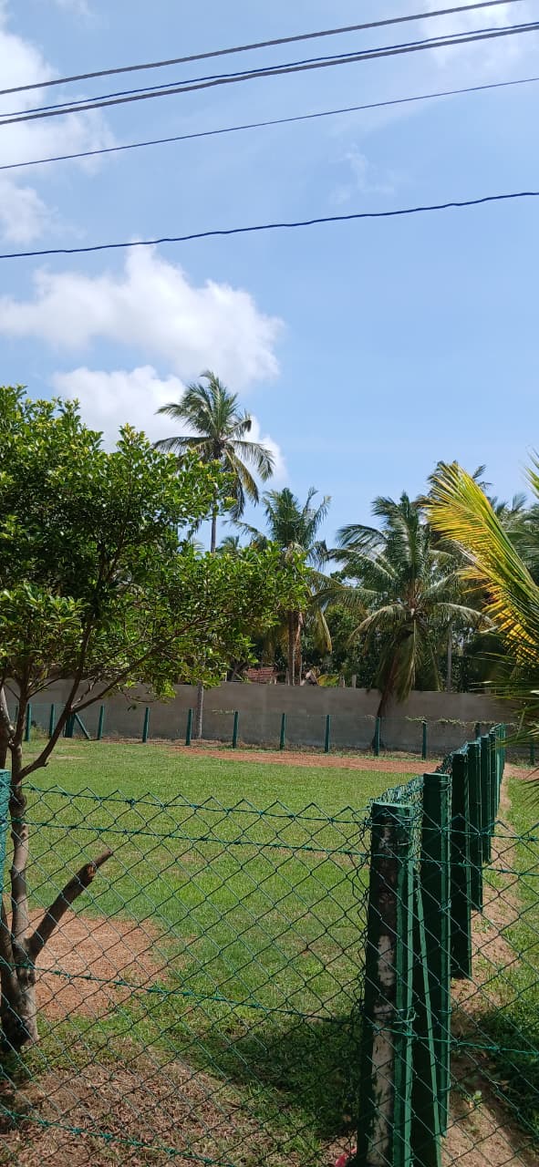 Land for Sale in Near Chilaw Town