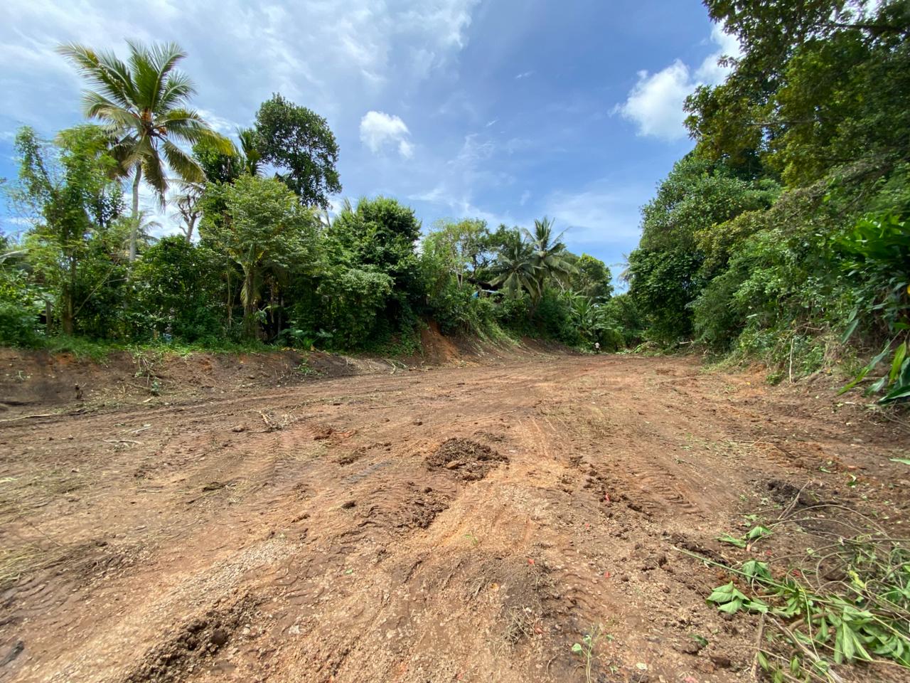 Land for Sale Pandura