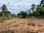 Land for Sale Pandura