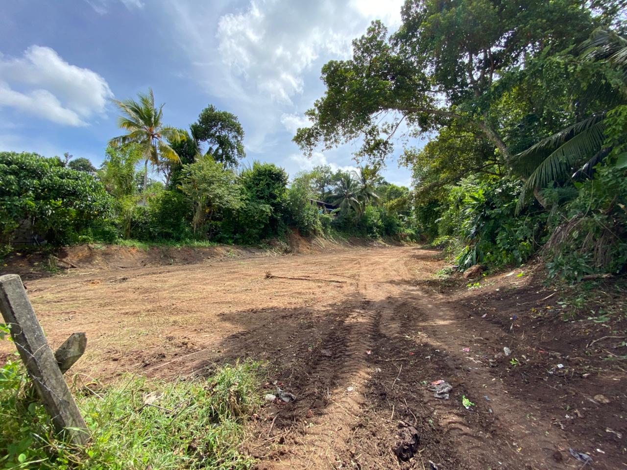 Land for Sale Pandura