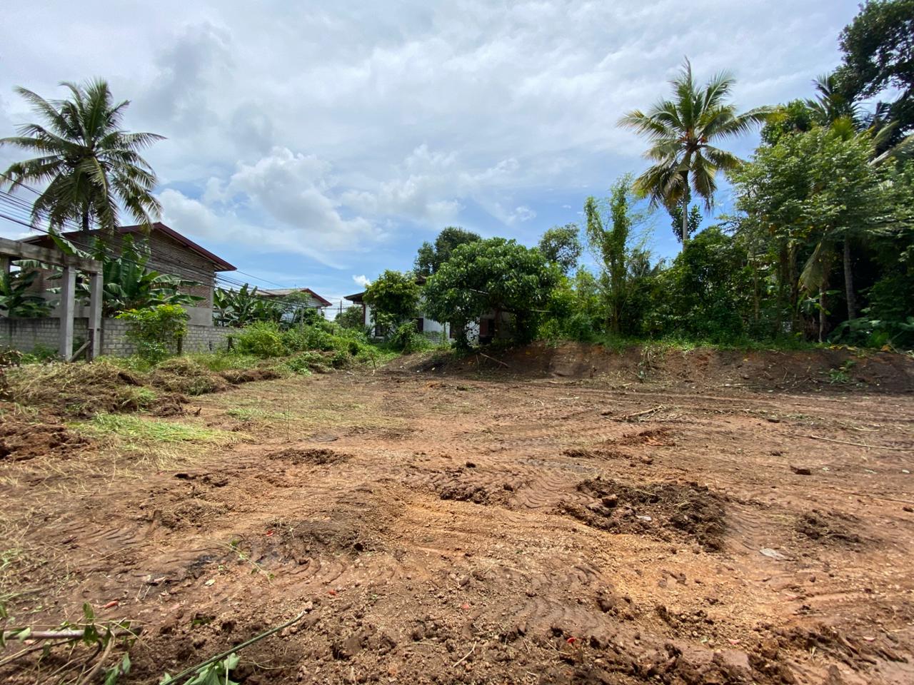 Land for Sale Pandura