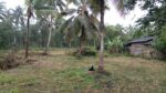 Land for sale (6 KM from the Kurunegala Town Clock Tower Junction)