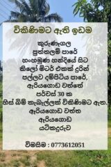 WhatsApp-Image-2026-02-05-at-13.35.52-1