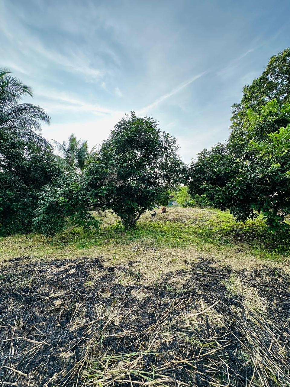 පර්චස් 430ක නිවසක් සහිත ඉඩමක් විකිණීමට ඇත