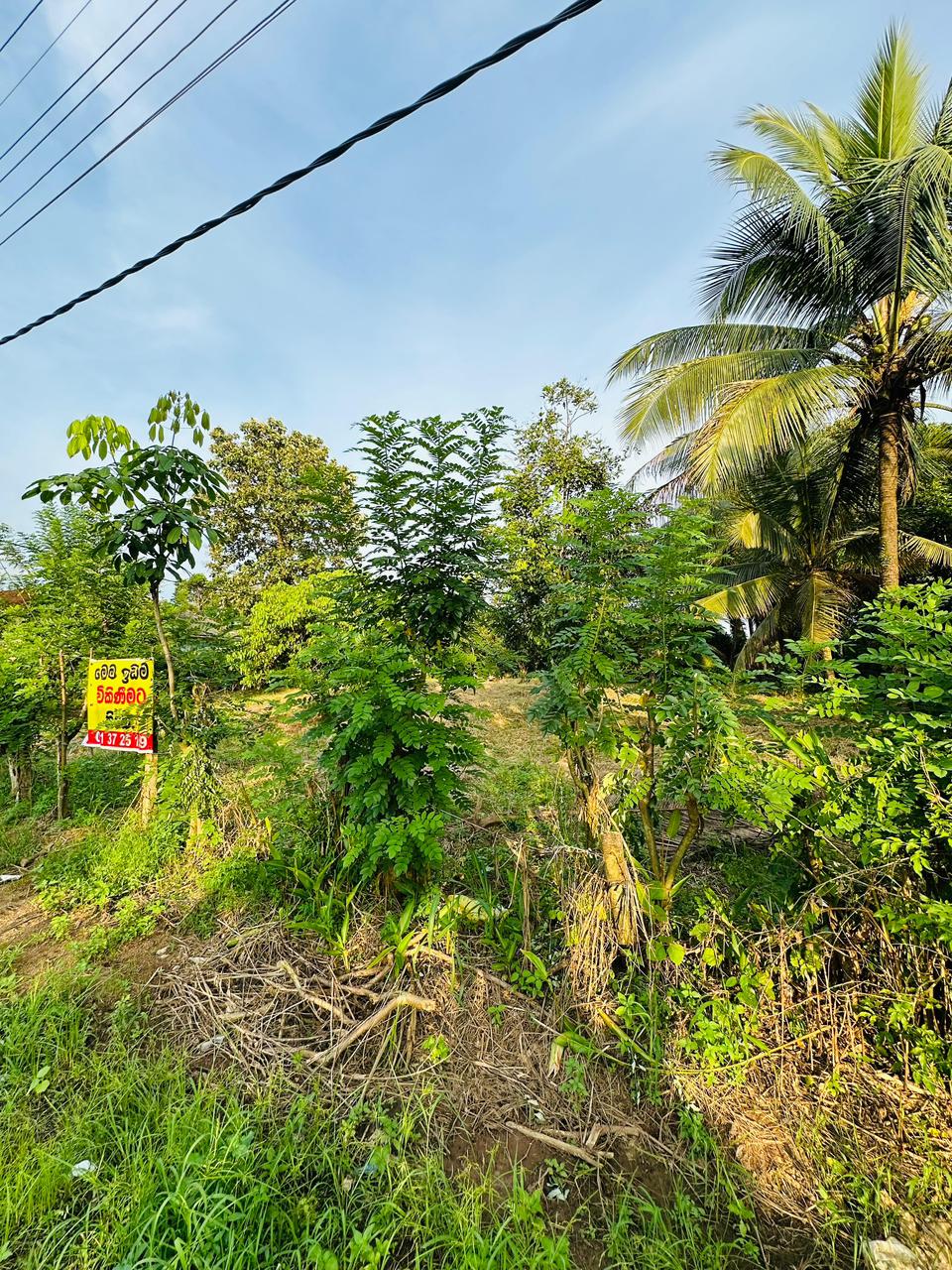 පර්චස් 430ක නිවසක් සහිත ඉඩමක් විකිණීමට ඇත