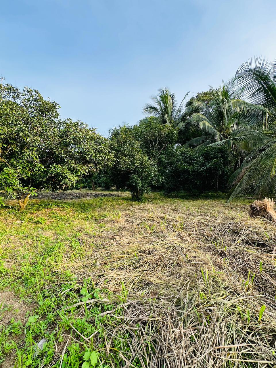 පර්චස් 430ක නිවසක් සහිත ඉඩමක් විකිණීමට ඇත