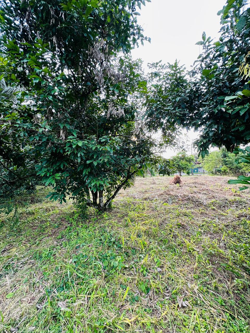 පර්චස් 430ක නිවසක් සහිත ඉඩමක් විකිණීමට ඇත