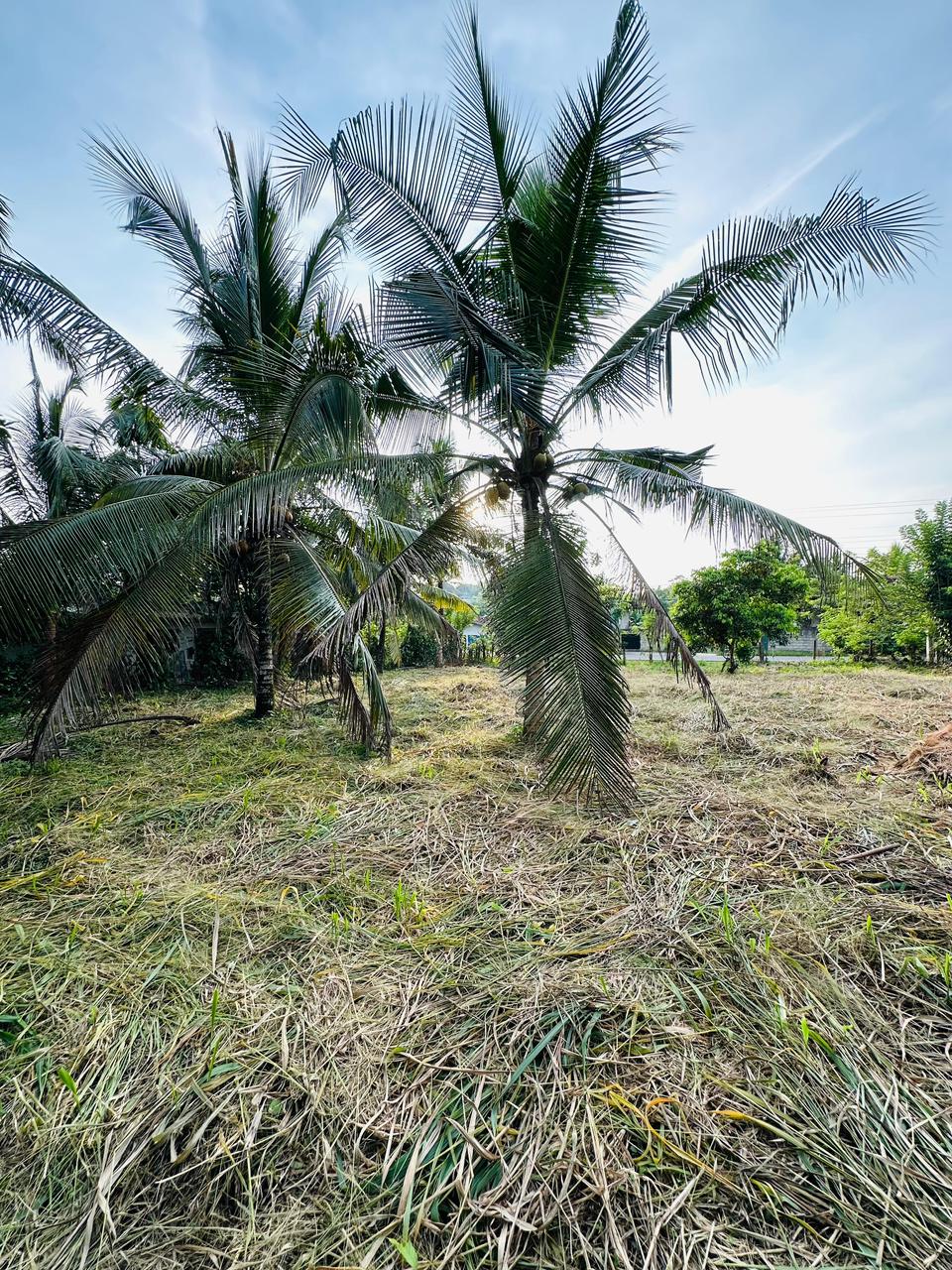 පර්චස් 430ක නිවසක් සහිත ඉඩමක් විකිණීමට ඇත