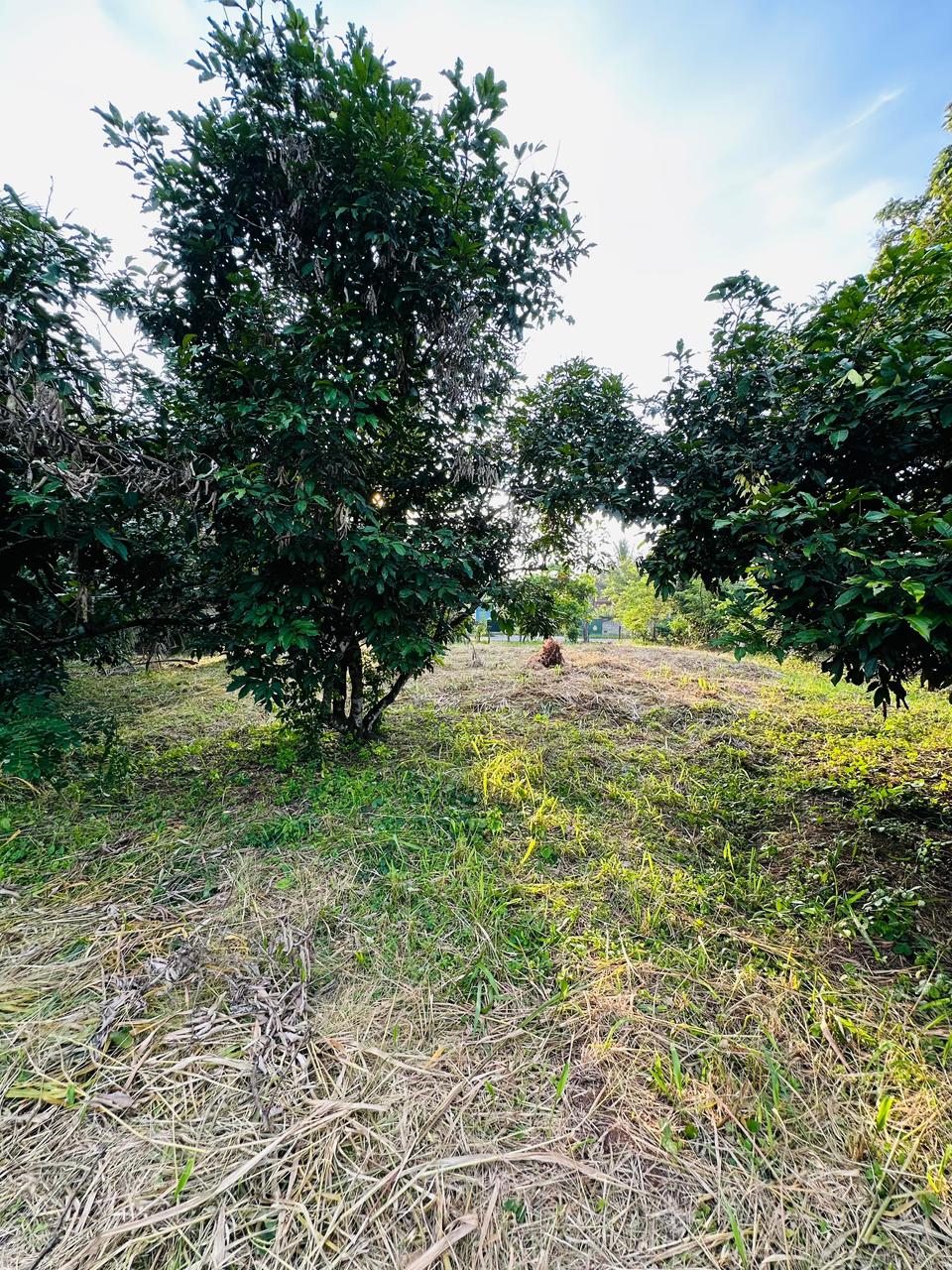 පර්චස් 430ක නිවසක් සහිත ඉඩමක් විකිණීමට ඇත