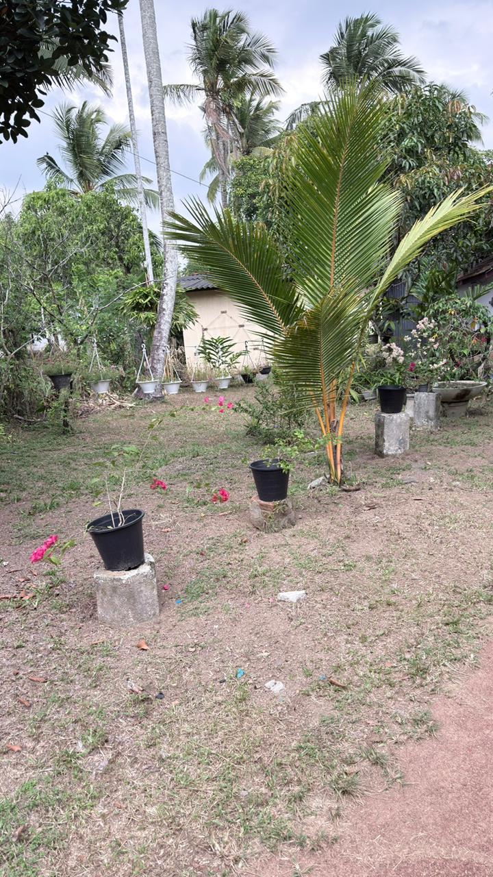 පර්චස් 430ක නිවසක් සහිත ඉඩමක් විකිණීමට ඇත