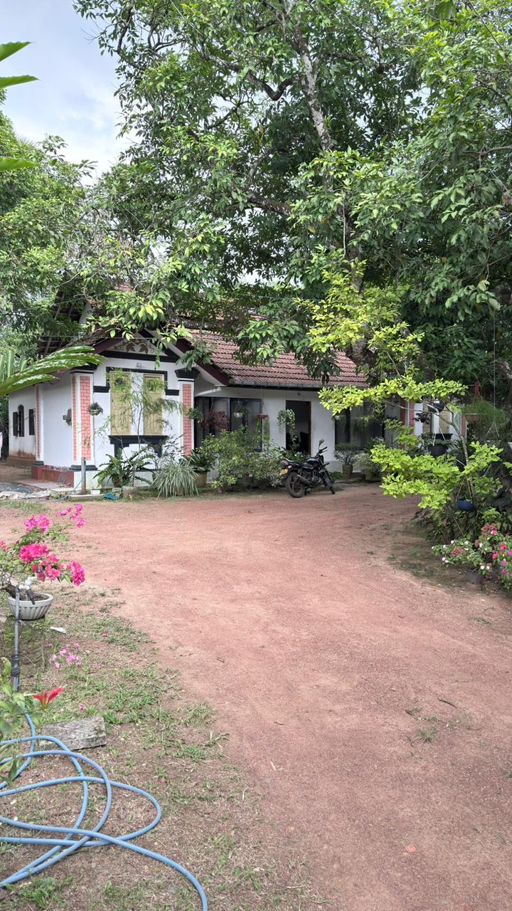 පර්චස් 430ක නිවසක් සහිත ඉඩමක් විකිණීමට ඇත