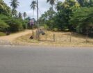 Land for Sale in Kurunegala
