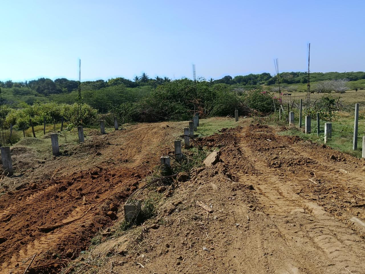 හම්බන්තොට තිස්ස ප්‍රධාන පාරට මුහුණලා ඇති බිම් කොටස විකිණීමට