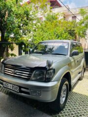 WhatsApp-Image-2026-02-06-at-12.06.40