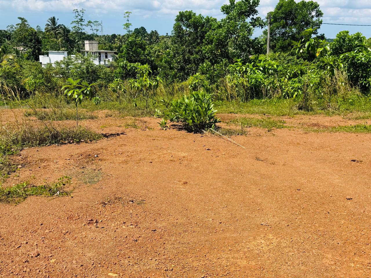 Land for Sale – Gonapala