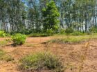 Land for Sale – Gonapala