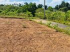 Land for Sale – Gonapala