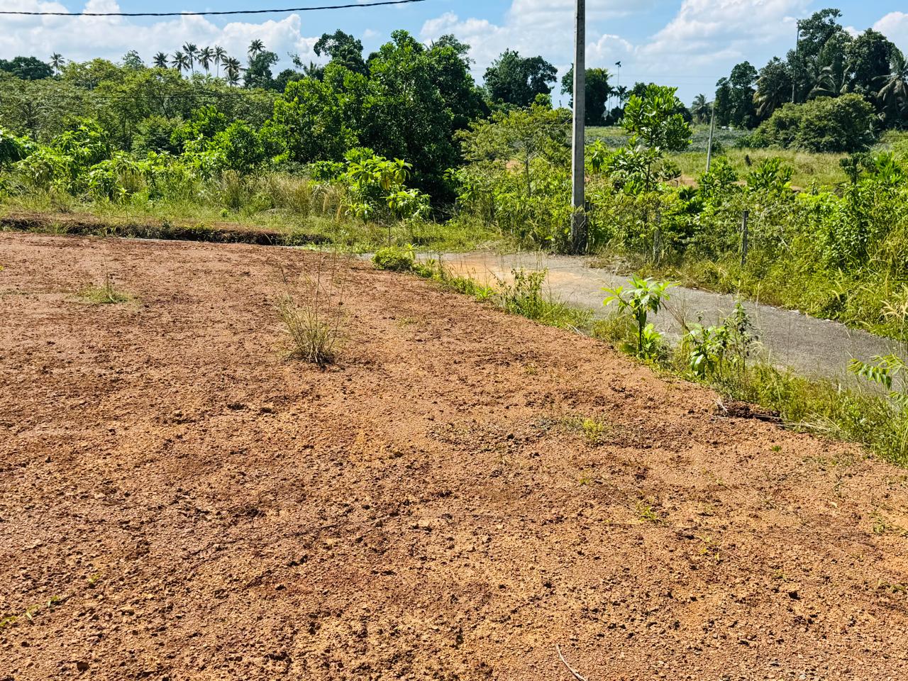 Land for Sale – Gonapala
