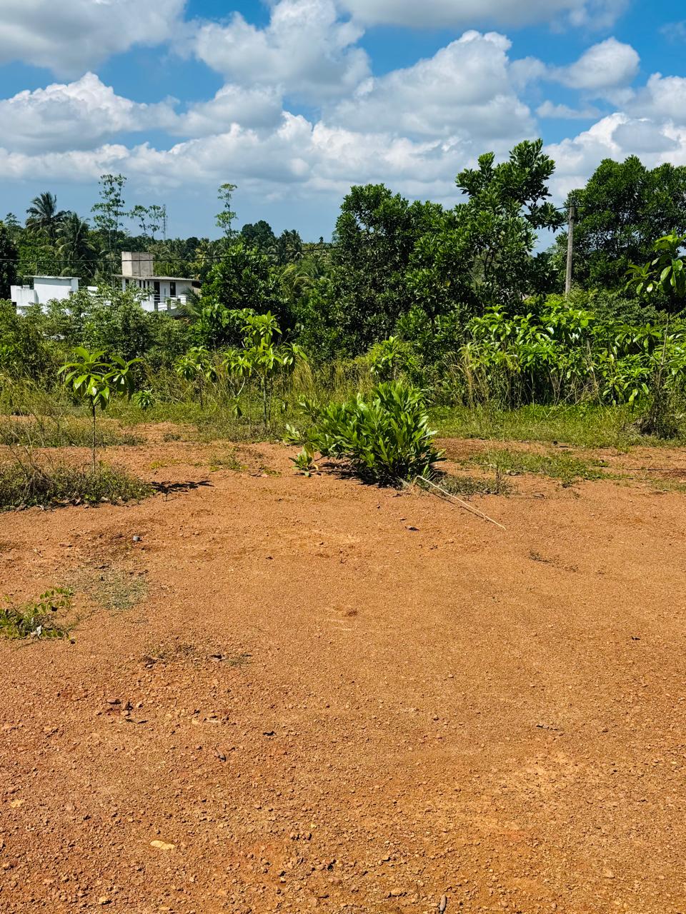 Land for Sale – Gonapala