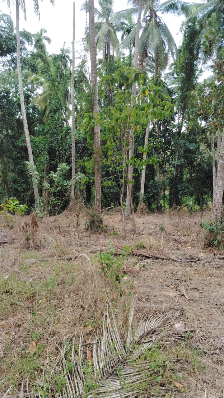 Land for Sale Veyangoda
