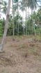 Land for Sale Veyangoda