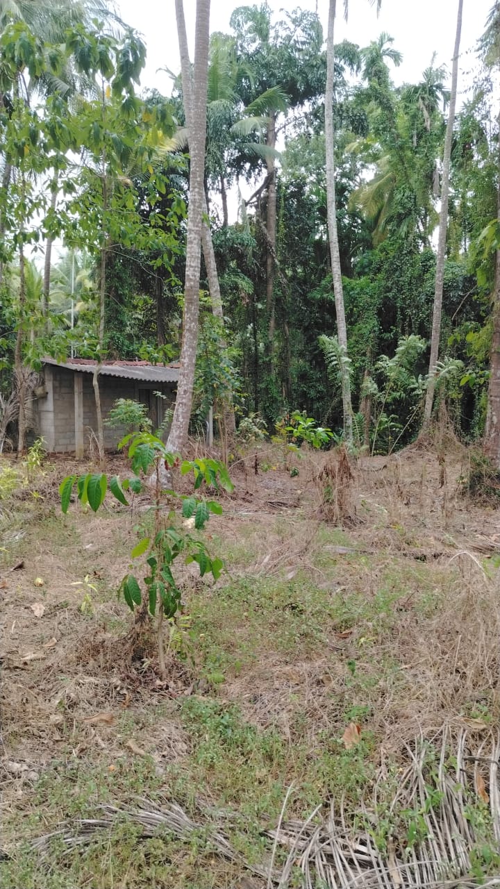 Land for Sale Veyangoda