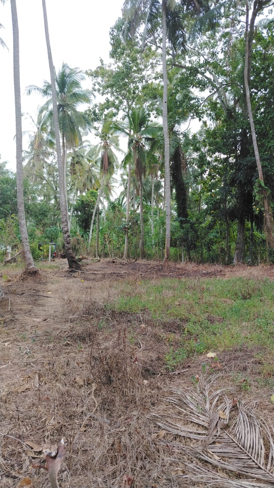Land for Sale Veyangoda