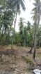 Land for Sale Veyangoda