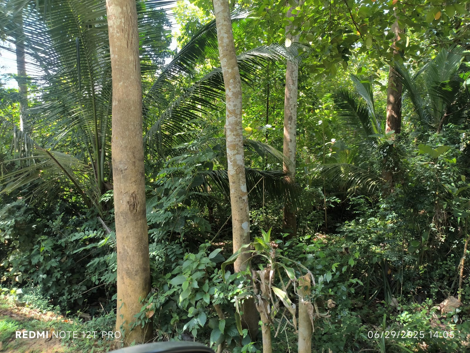 Land For Sale In Tangalle