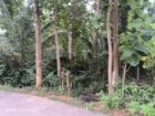 Land For Sale In Tangalle