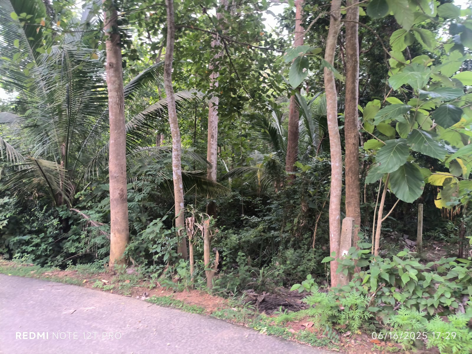 Land For Sale In Tangalle