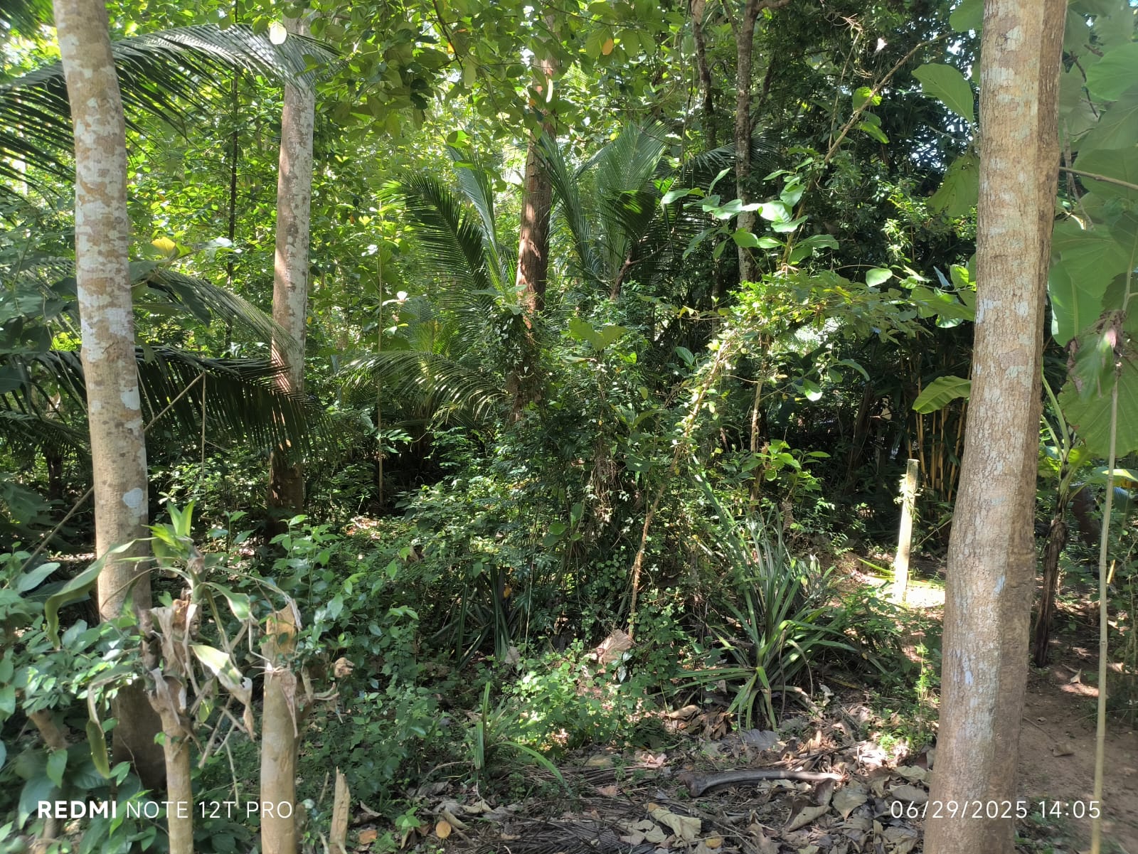 Land For Sale In Tangalle