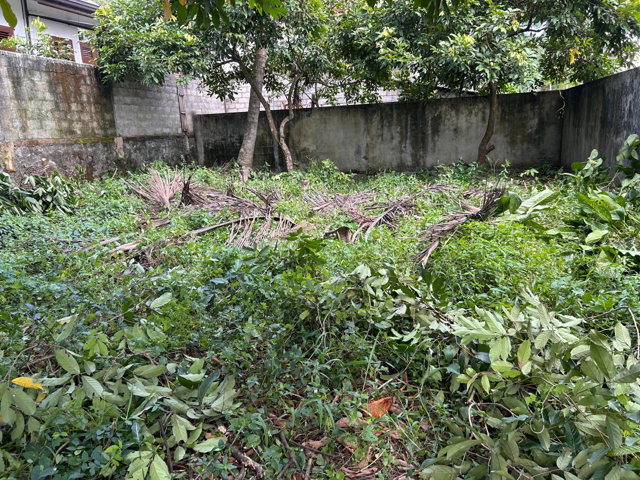 Land for Sale Kadawatha