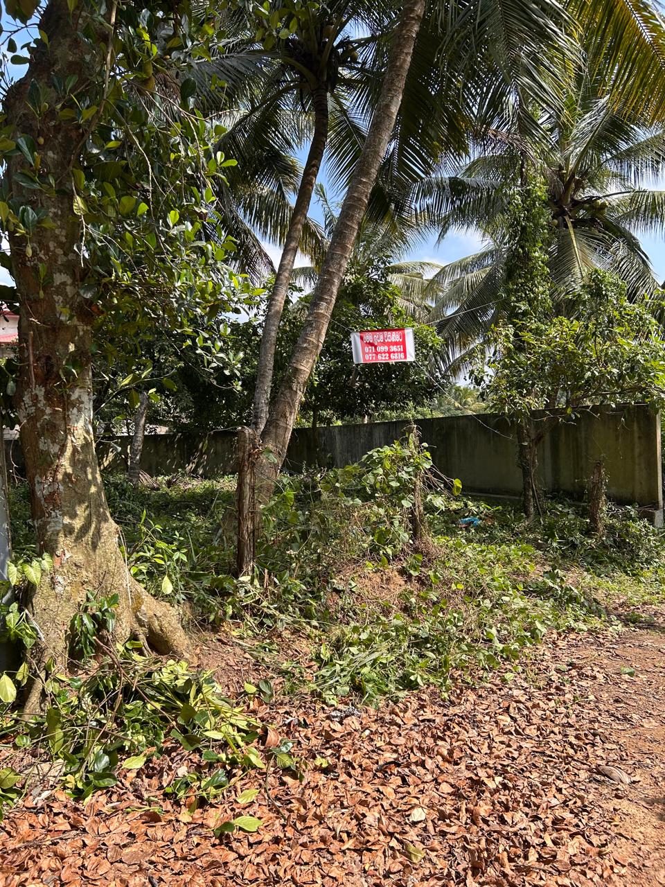 Land for Sale Kadawatha