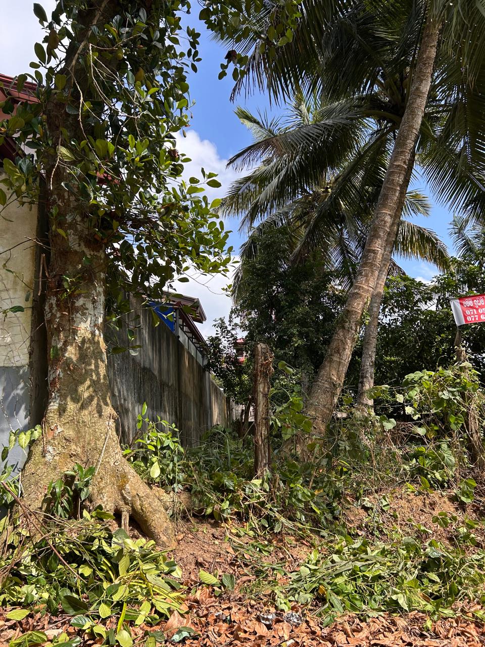 Land for Sale Kadawatha