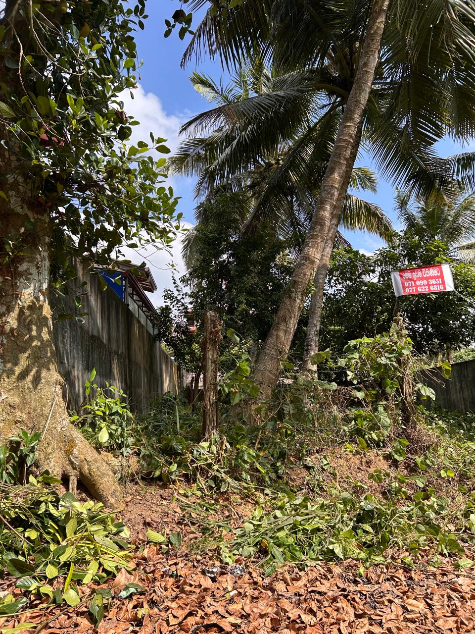 Land for Sale Kadawatha