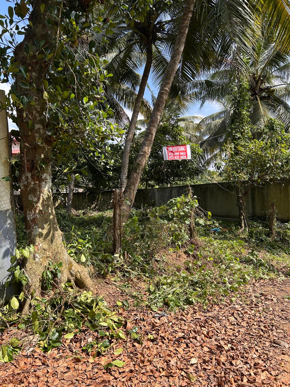 Land for Sale Kadawatha