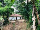 Land for Sale in Ridigama Town- Kurunegala District – Facing Matale Main Road