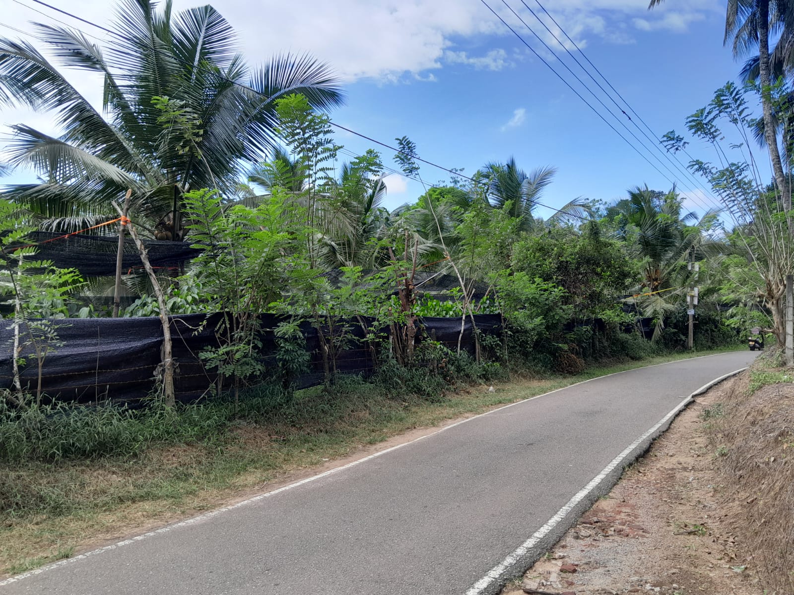 Land for Sale – Dompe