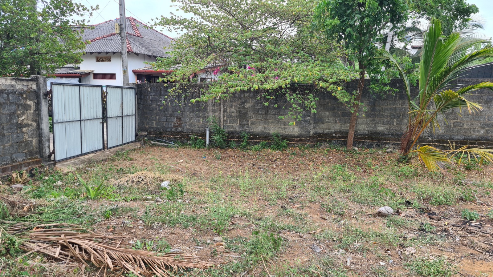 Land for Sale near Panadura Galle Road | පානදුර ගාලු පාරට පෙනෙන දුරින් අගනා ඉඩමක්